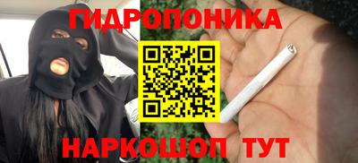 амф Заволжье