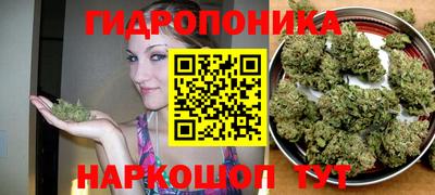 амф Заволжье