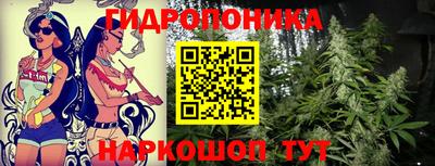 твердый Жуковский