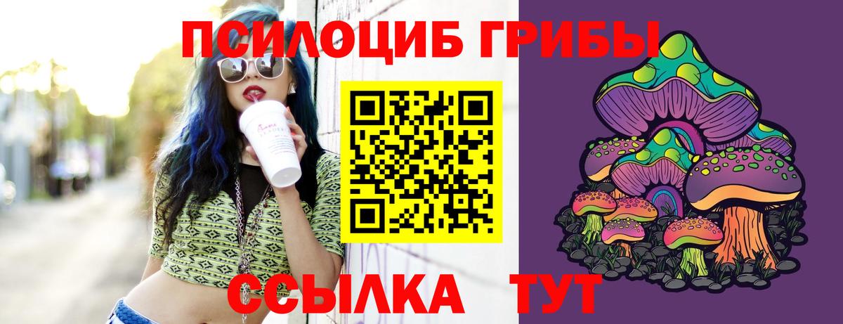 Псилоцибиновые грибы MAGIC MUSHROOMS Малоярославец